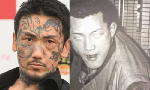 金钱莲的功效与主治与用量-金钱莲功效作用与主治功能,中国金钱鮸的功效网站