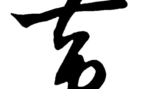 金钱莲的功效与禁忌-金钱莲的功效与主治与用量-金钱莲功效作用与主治功能,中国金钱鮸的功效网站