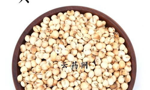 金钱莲的功效与主治与用量-金钱莲功效作用与主治功能,中国金钱鮸的功效网站